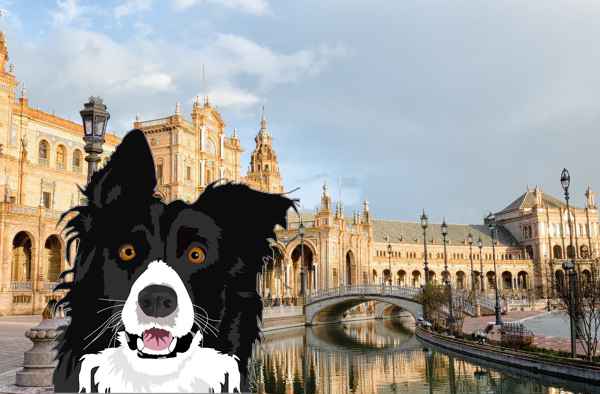 Perros en adopción en Sevilla